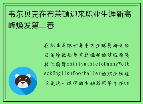 韦尔贝克在布莱顿迎来职业生涯新高峰焕发第二春