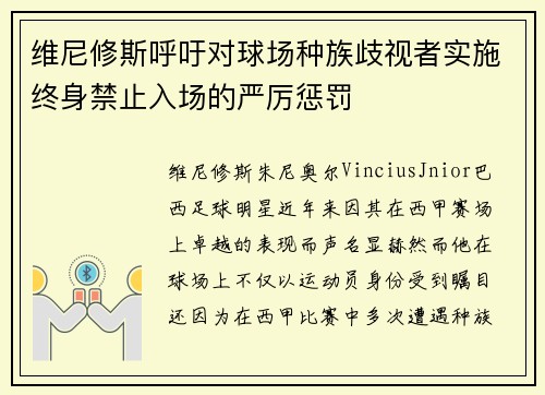维尼修斯呼吁对球场种族歧视者实施终身禁止入场的严厉惩罚